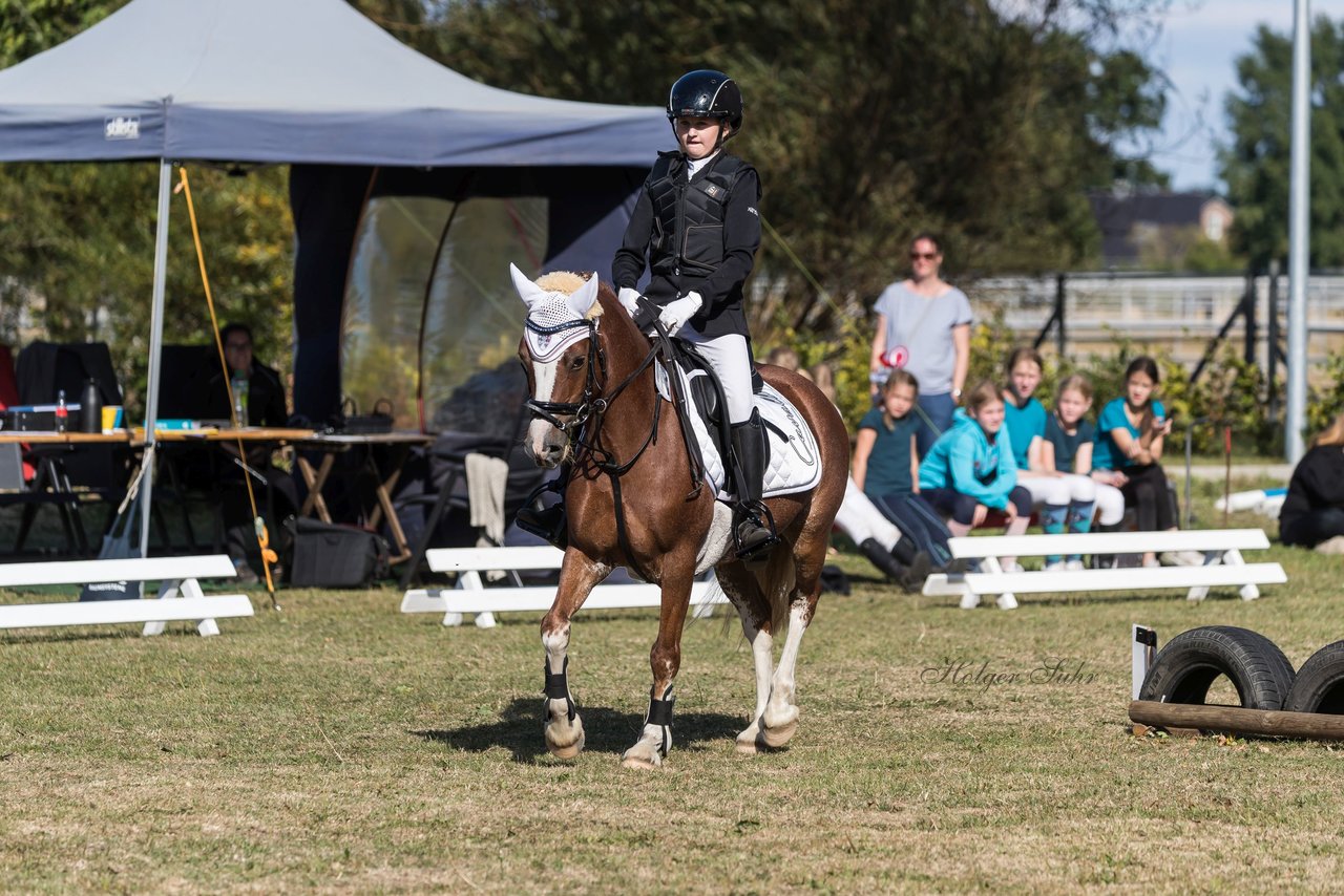 Bild 102 - Pony Akademie Turnier